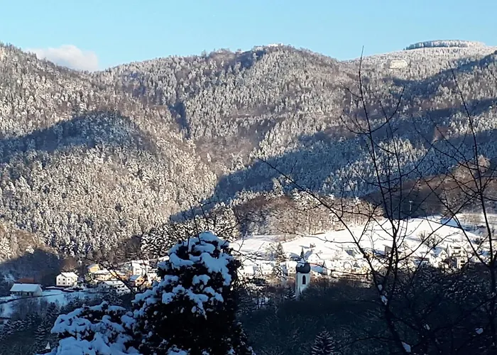 Ferienwohnung Schwarzwaldblick