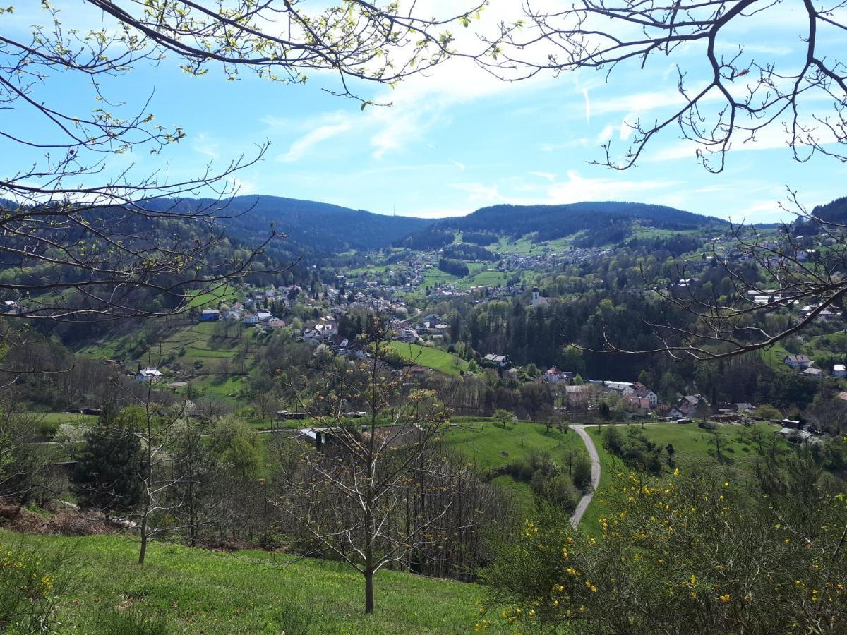 Schwarzwaldblick