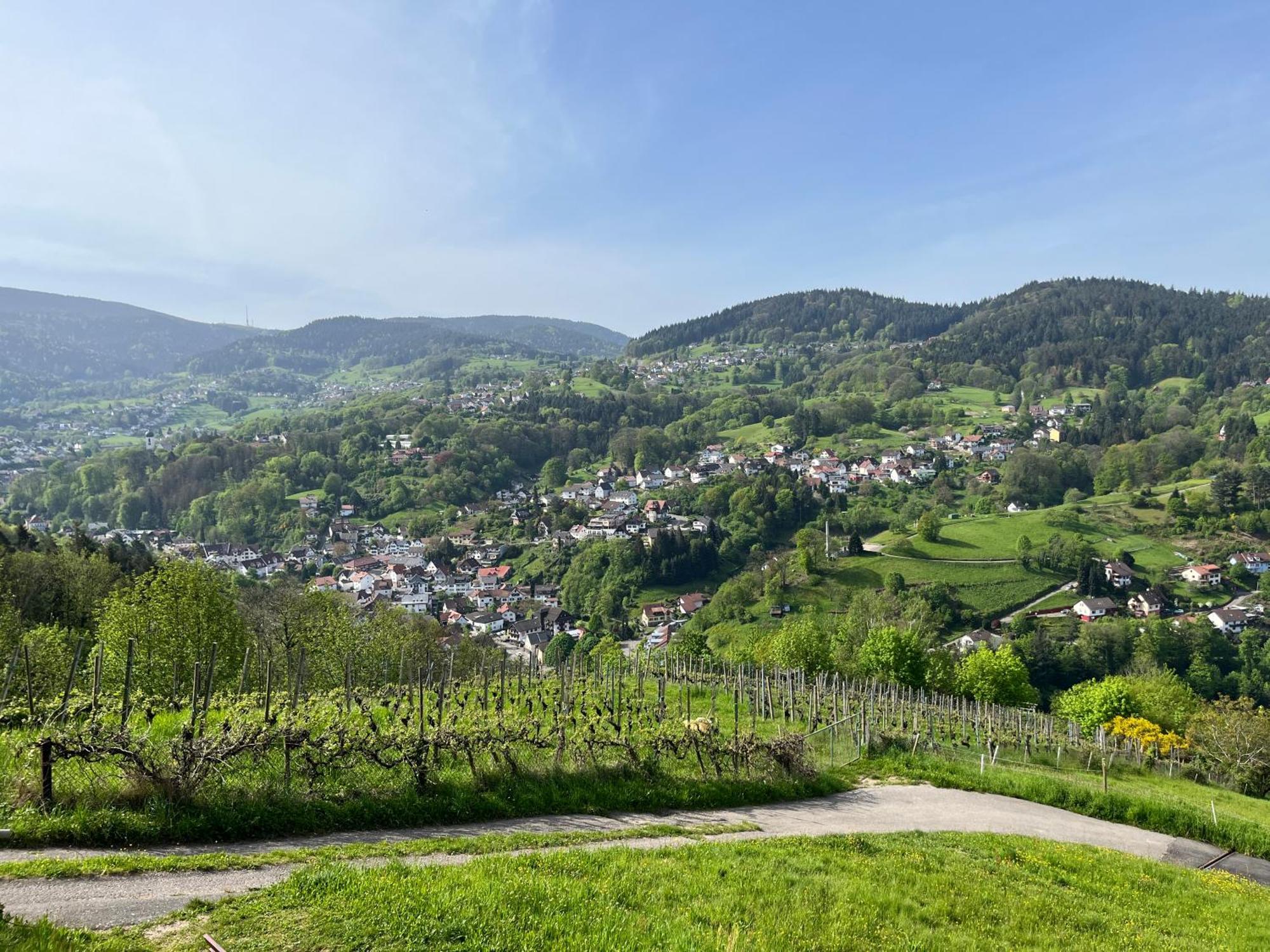 Schwarzwaldblick * Buhlertal